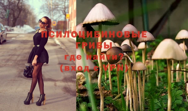 марихуана Вязьма