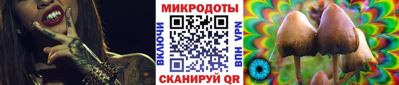 Псилоцибиновые грибы GOLDEN TEACHER Краснознаменск
