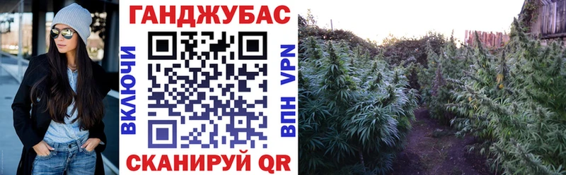 Канабис Amnesia  площадка Telegram  Краснознаменск  купить наркотики цена 
